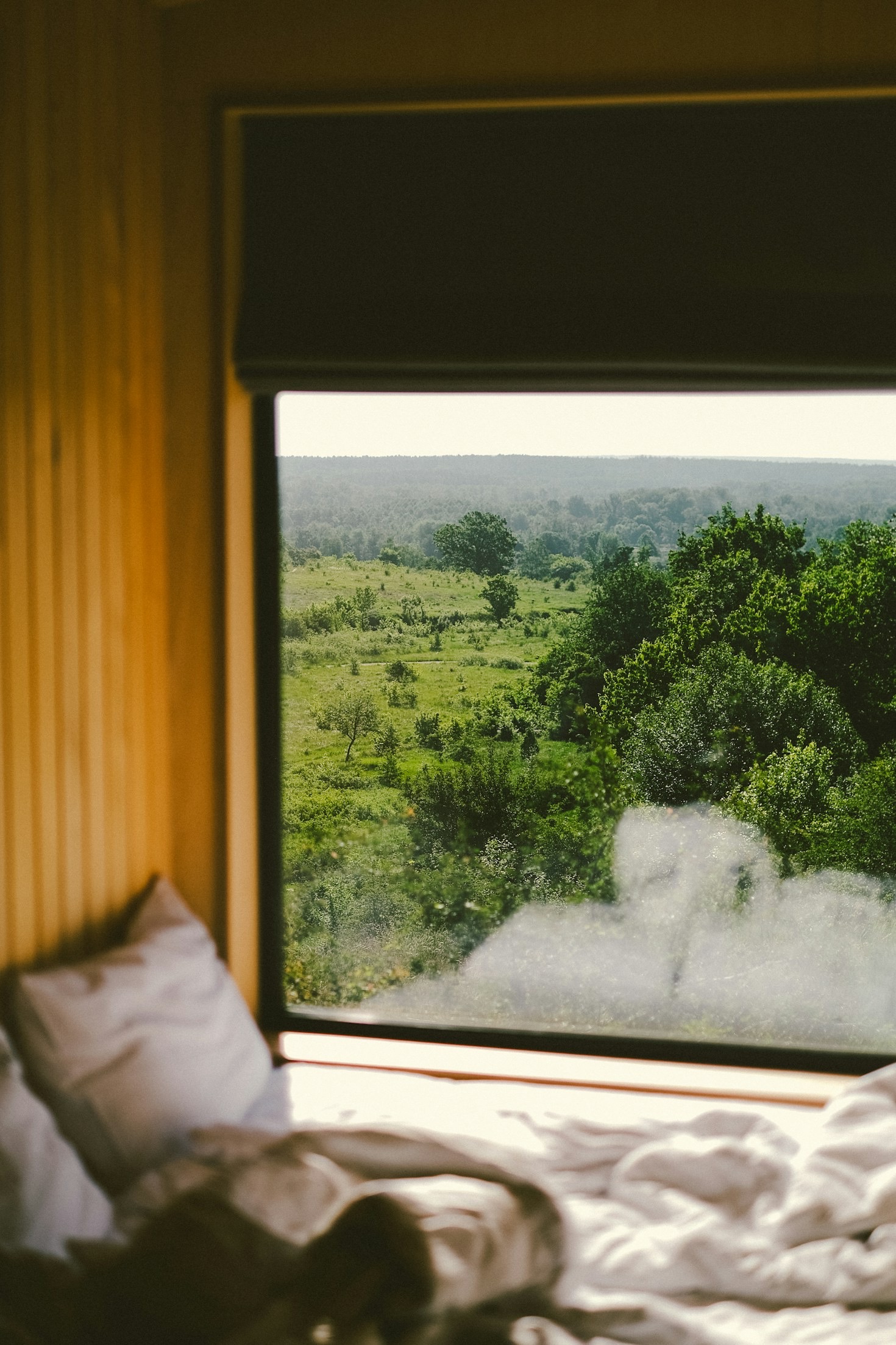Modernes Interieur trifft auf nordische Natur